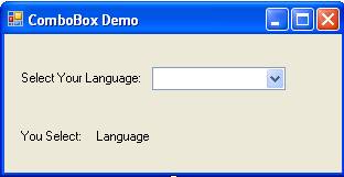 Combo Box Example