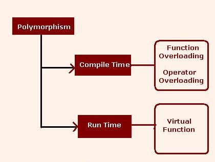 Types of Polymorphism